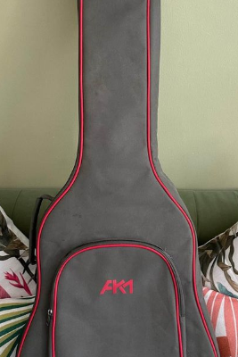 Electric acoustic guitar APX500III for sale