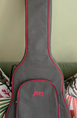 Electric acoustic guitar APX500III for sale