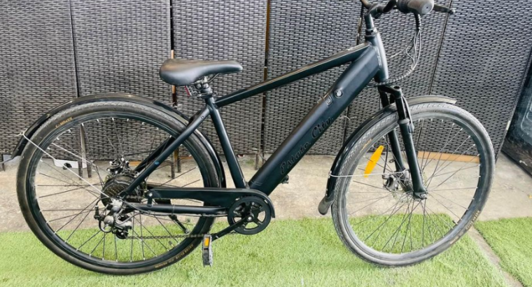 Estate city.E bike. Size 28 For Sale