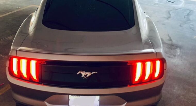 Ford Mustang Ecoboost 2020 USA imported