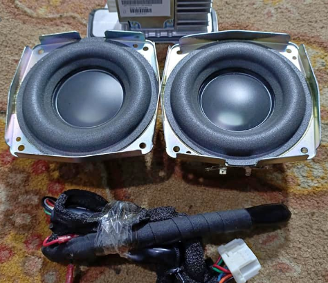 Original Bose Heavy Base Door Woofer With Amplifie