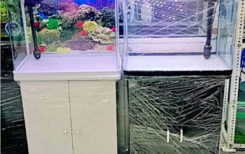 Classic Fish Aquarium 50cm For Sale