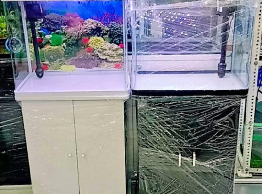 Classic Fish Aquarium 50cm For Sale