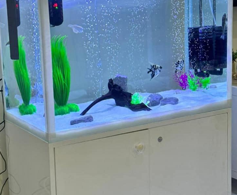 Aquarium 80cm for sale