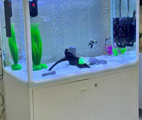 Aquarium 80cm for sale