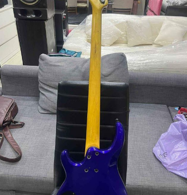 Electric Guitar Chatting Bird For Sale