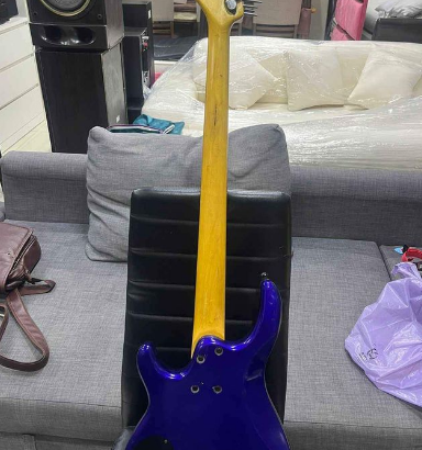 Electric Guitar Chatting Bird For Sale