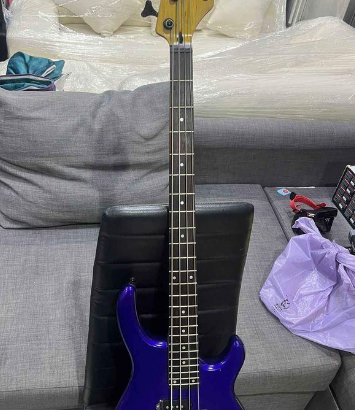 Electric Guitar Chatting Bird For Sale