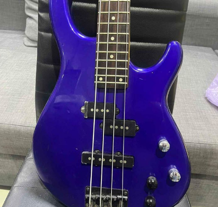 Electric Guitar Chatting Bird For Sale
