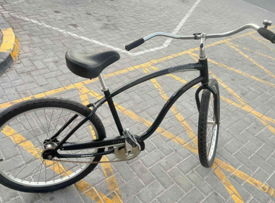 Giant Simple Single bike for sale