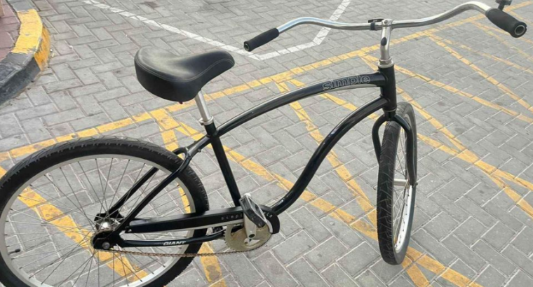 Giant Simple Single bike for sale