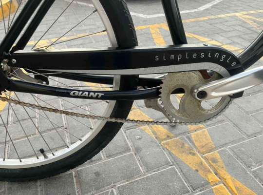 Giant Simple Single bike for sale