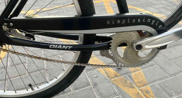Giant Simple Single bike for sale