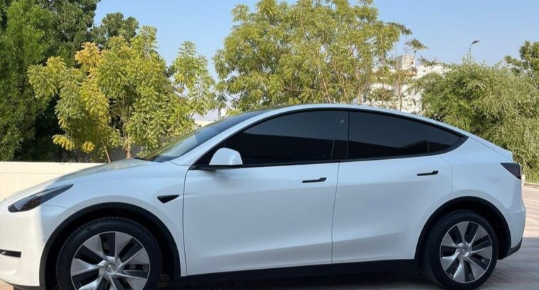 Tesla model Y Long range full option 2022