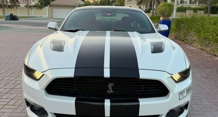 Ford Mustang GT premium 2017 USA imported