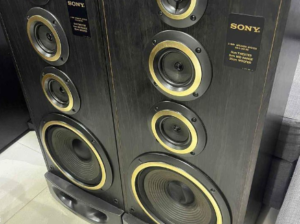 Sony SS-N350DX Floor standing speakers for sale