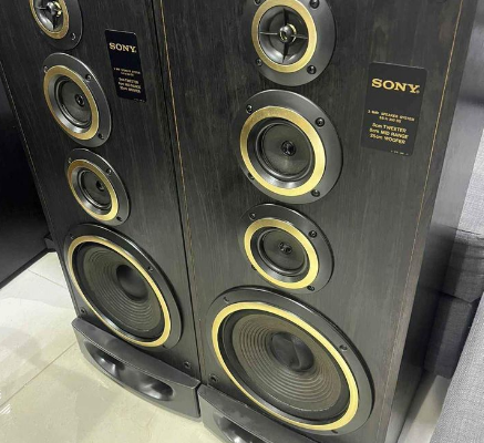 Sony SS-N350DX Floor standing speakers for sale