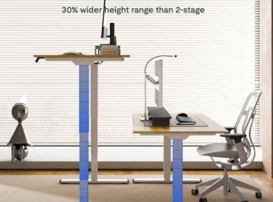 FLEXISPOT Standing Desk Electric Sit Stand Desk Fo