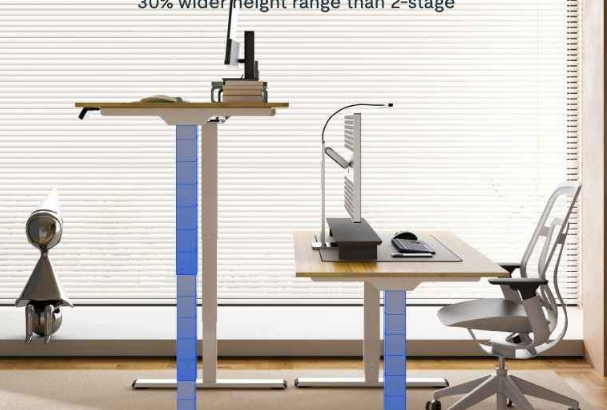 FLEXISPOT Standing Desk Electric Sit Stand Desk Fo