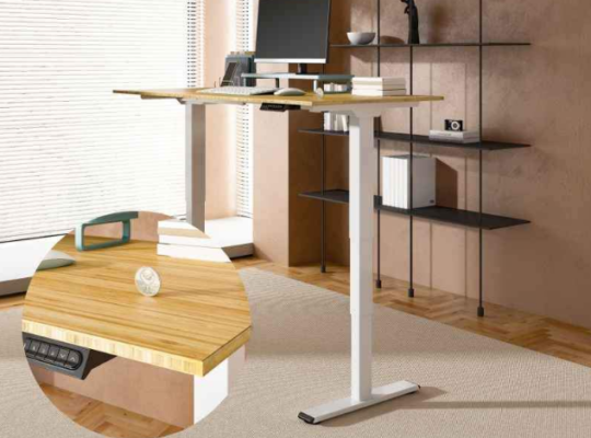 FLEXISPOT Standing Desk Electric Sit Stand Desk Fo