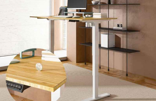 FLEXISPOT Standing Desk Electric Sit Stand Desk Fo