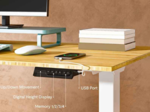 FLEXISPOT Standing Desk Electric Sit Stand Desk Fo