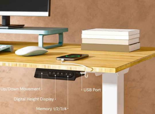 FLEXISPOT Standing Desk Electric Sit Stand Desk Fo