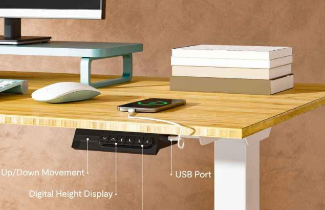 FLEXISPOT Standing Desk Electric Sit Stand Desk Fo