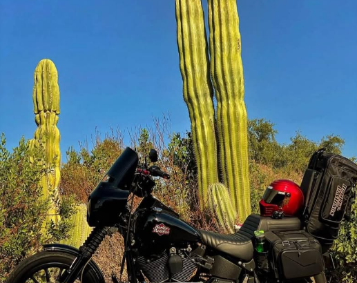 Harley Davidson night train 2002 for sale