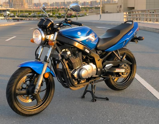 Suzuki GS 500 2009 for sale
