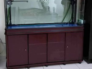 Used 1.5 meter aquarium for sale