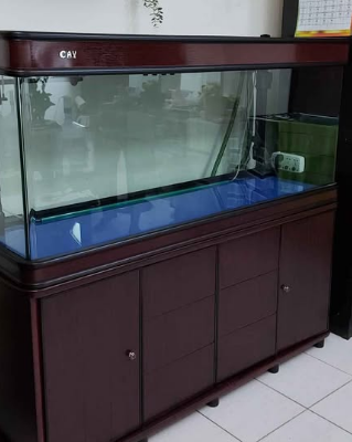 Used 1.5 meter aquarium for sale