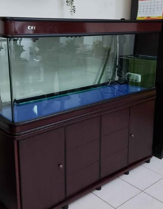 Used 1.5 meter aquarium for sale