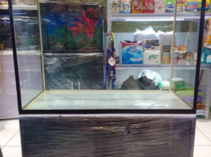 80cm customize Aquarium For Sale