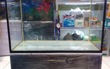 80cm customize Aquarium For Sale