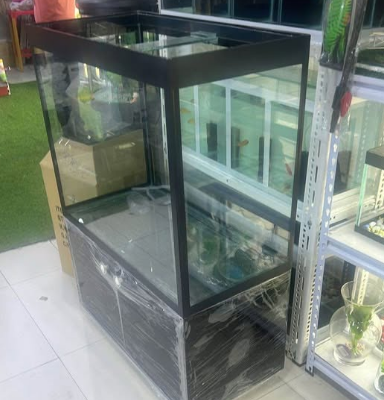 80cm customize Aquarium For Sale