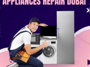 Home appliances repair