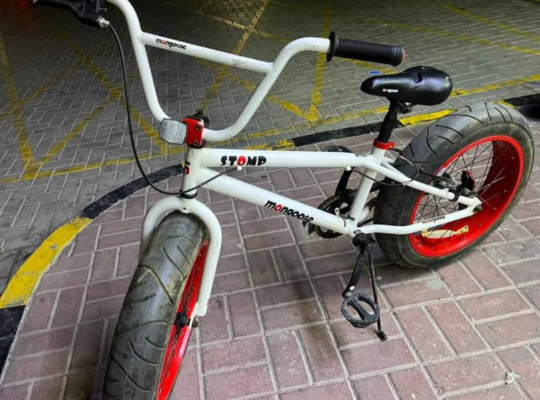 Mongoose Stomp BMX Bike for sale