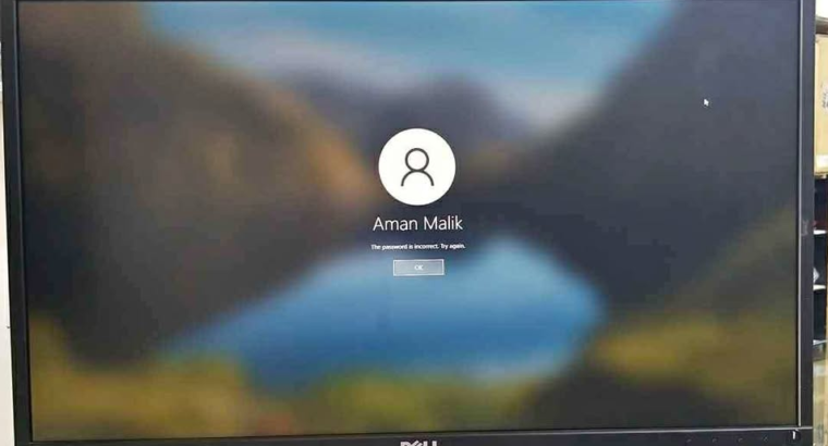 Dell 24 inc IPS Panel Full HD LED Monitor For Sale
