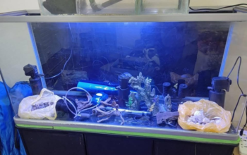 Fish tank with stand, full set with all accessorie