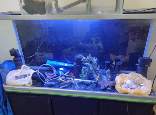 Fish tank with stand, full set with all accessorie