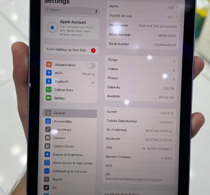 Ipad mini 6 256Gb Cellular