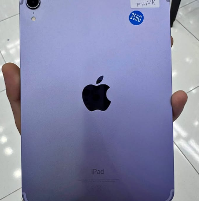 Ipad mini 6 256Gb Cellular