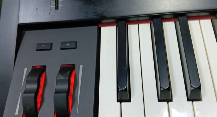 M-Audio Hammer 88 USB MIDI Keyboard for sale