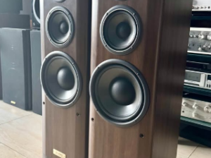 High end Onkyo floor standing speakers for sale