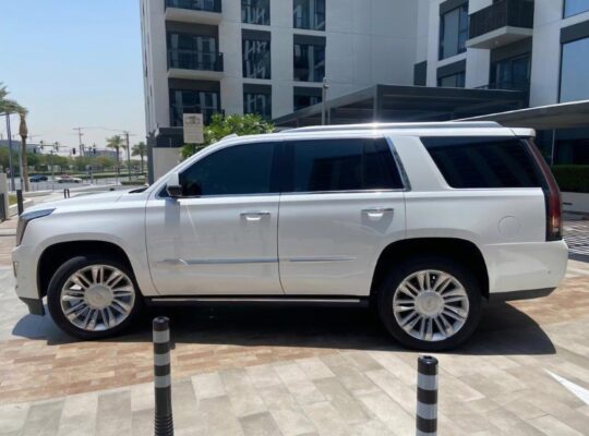 Cadillac Escalade Platinum 2019 Gcc for sale