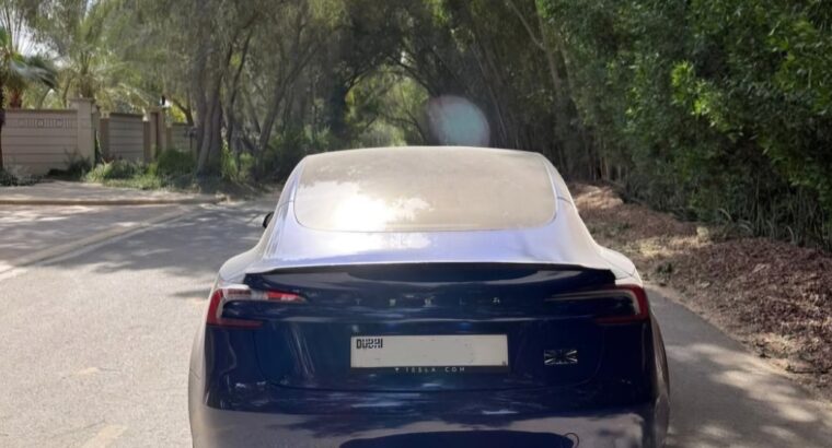 Tesla model 3 Performance 2024 Gcc for sale