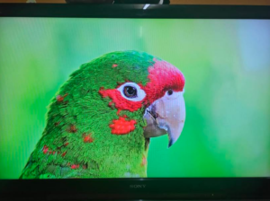 Sony TV 46 inch good condition for sale