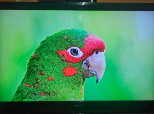 Sony TV 46 inch good condition for sale