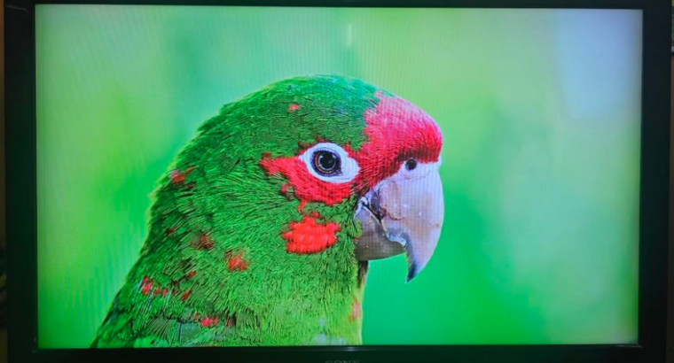 Sony TV 46 inch good condition for sale